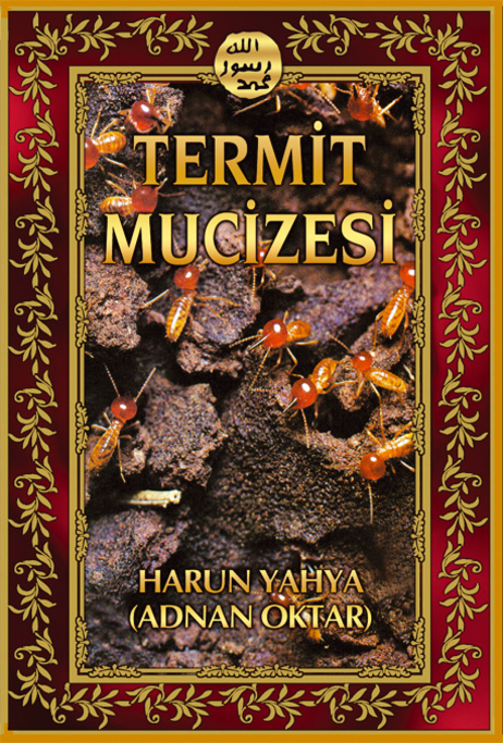 Termit Mucizesi